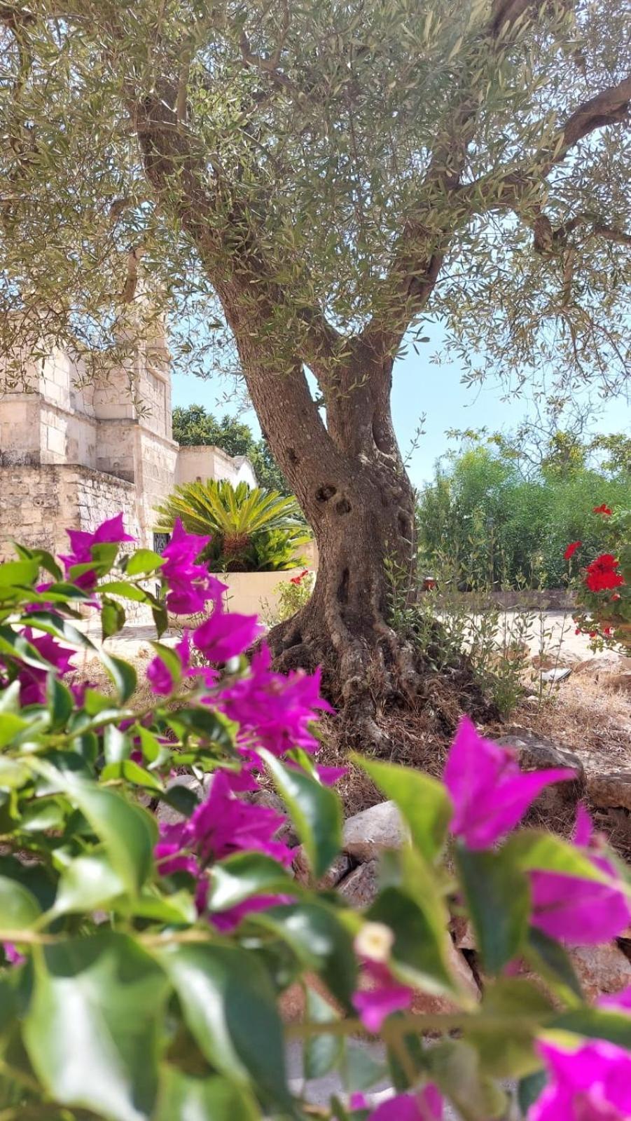 Trulli Aurasia Ostuni Esterno foto