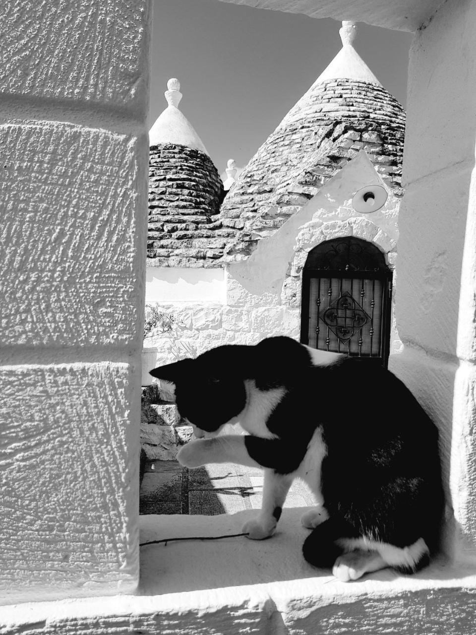 Trulli Aurasia Ostuni Esterno foto